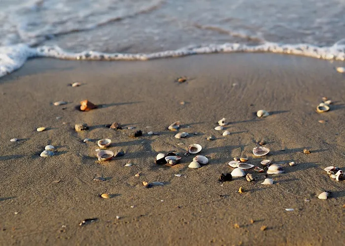 Comfort And Relax By The Pool-beahost